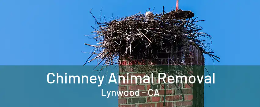 Chimney Animal Removal Lynwood - CA