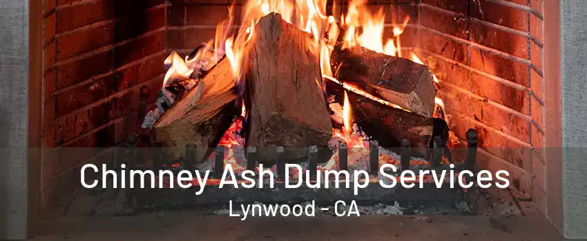 Chimney Ash Dump Services Lynwood - CA