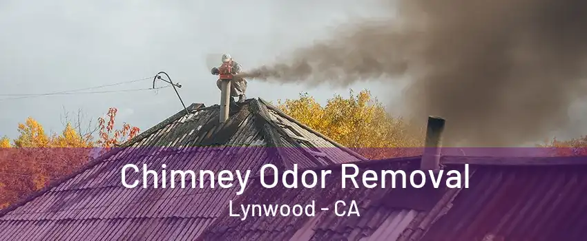 Chimney Odor Removal Lynwood - CA