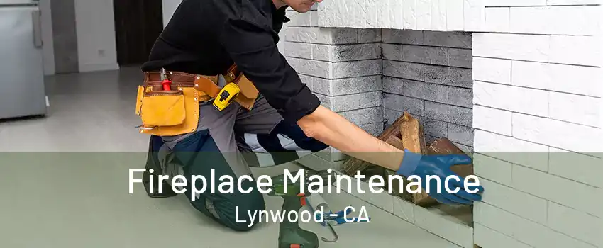 Fireplace Maintenance Lynwood - CA