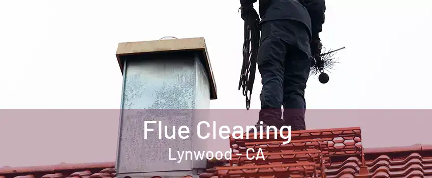 Flue Cleaning Lynwood - CA