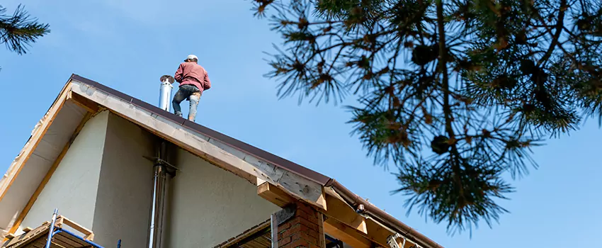 Birds Removal Contractors from Chimney in Lynwood, CA