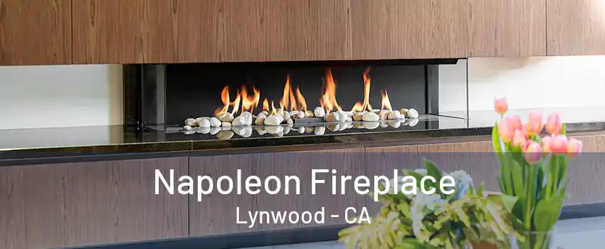 Napoleon Fireplace Lynwood - CA